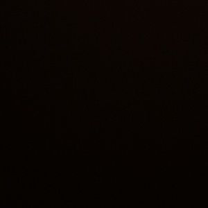 Meet your Posher, Lacey